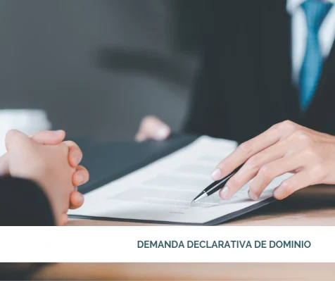 Demanda declarativa de dominio